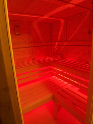 Sauna-Foto der Familie Nestler